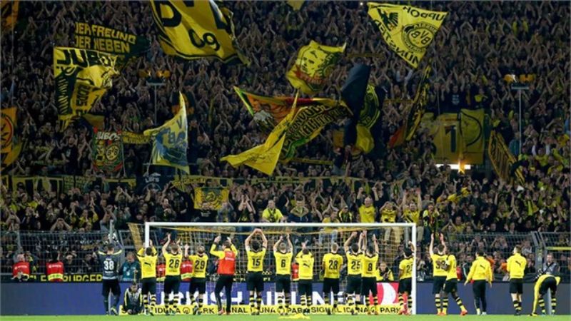 Khái quát sân vận động Signal Iduna Park